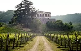 Villa-dei-Vescovi Villa dei Vescovi