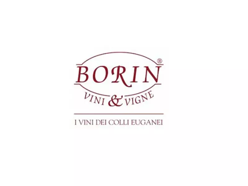 Borin-vini-e-vigne